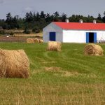 Farm on False Bay Rd