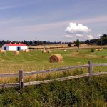 Farm on False Bay Rd